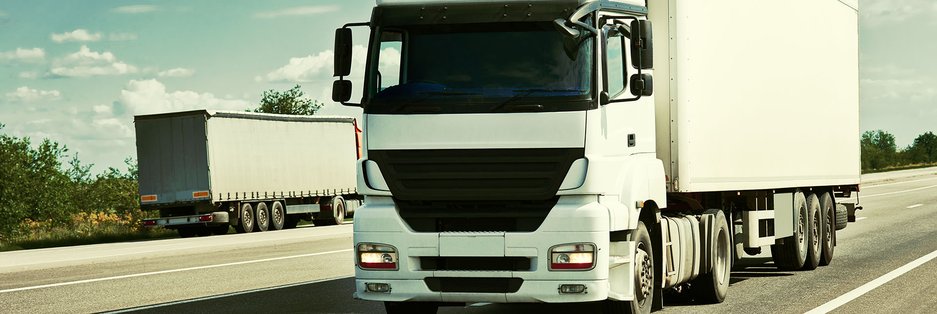 PROFESSIONAL AND QUALIFIED DRIVERS